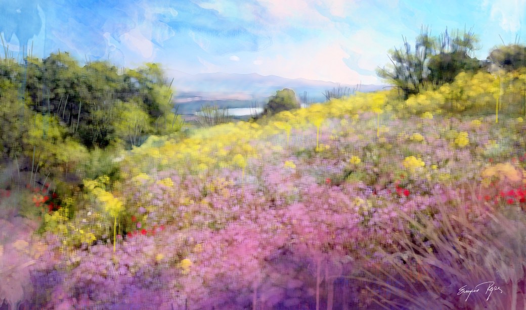 campo de flores amarillas y malvas