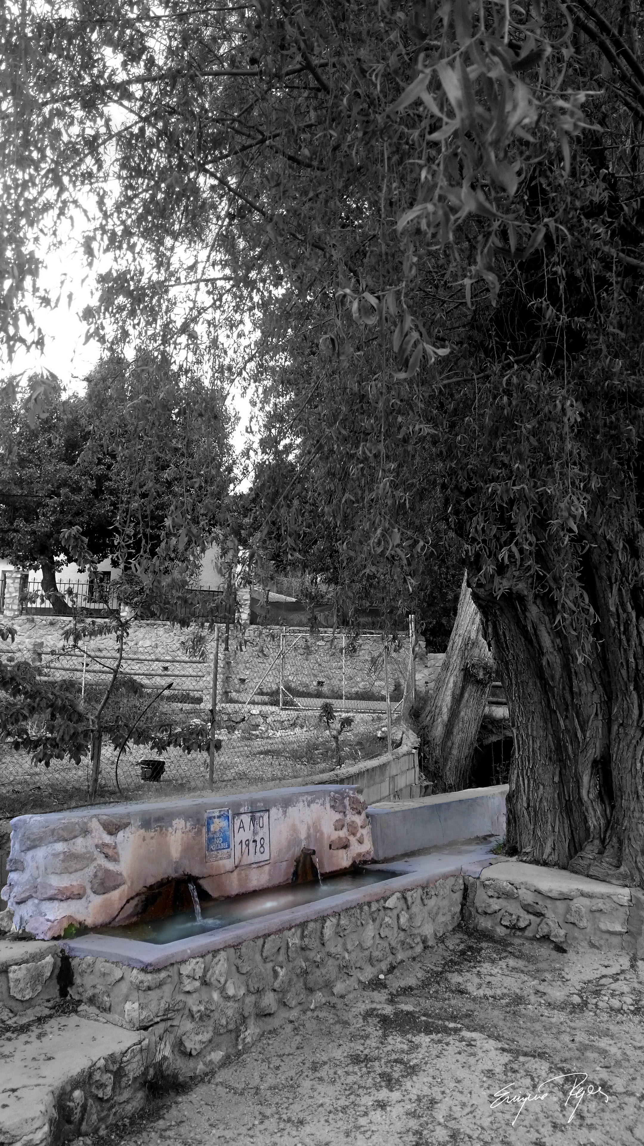 pilar de prado negro